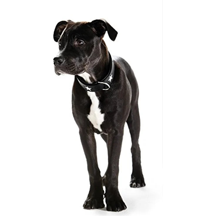 HUNTER MAGIC STAR Hundehalsband, mit Sternen, Leder, weich, 50 (S-M), schwarz – Bild 3