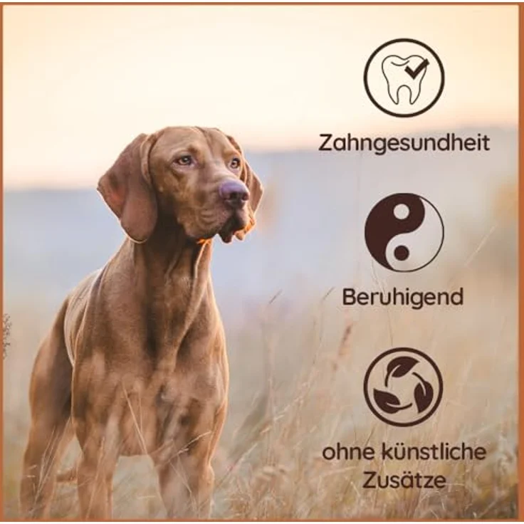 Wildfang® Kauwurzel aus der Baumheide für Hunde, Robustes und Langlebiges Kauwurzel Hund, Splitterarmes Kauholz als Hundespielzeug für optimale Zahnpflege für Hunde und Welpen bis 15 kg - S – Bild 3