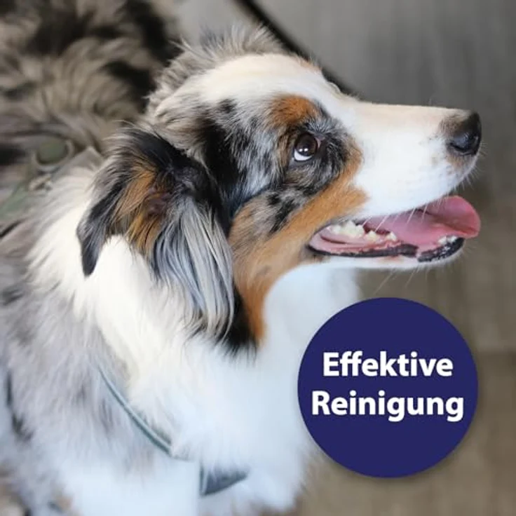Canosept Zahnpflege Spray für Hunde, 100 ml, Verbesserung der Maulhygiene und frischer Atem – Bild 2