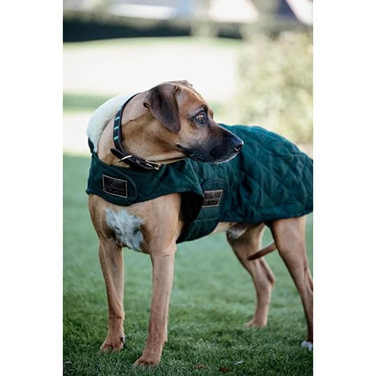Kentucky Hundemantel Dunkelgrün M 44-50cm - Langlebiges Hundezubehör aus High Tenacity Polyester – Bild 4