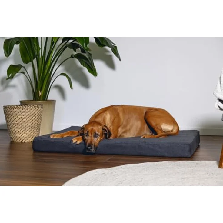 Beeztees Zira Orthopädisches Hundebett, Dunkelgrau, 120x80x10 cm mit Memory-Schaum Polsterung – Bild 3