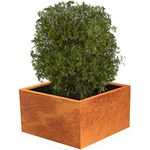 Palatino Exclusive Line Hochbeet/Pflanzkübel Clara Corten-Stahl 100 x 100, Tiefe 50 cm