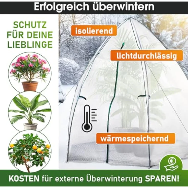 BRAST Überwinterungszelt Foliengewächshaus Mini 160x160x180cm - 250x250x220cm mit Reißverschluss, wahlweise Heizungsoption, schnellaufbaubarer Winterschutz für Pflanzen – Bild 4