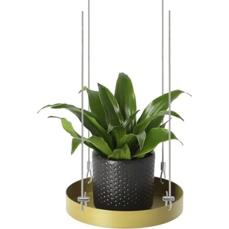 Esschert Design Hängendes Pflanzentablett rund Gold S, Pflanzentabletthänger, L 14 x B 14 x H 2,1 cm