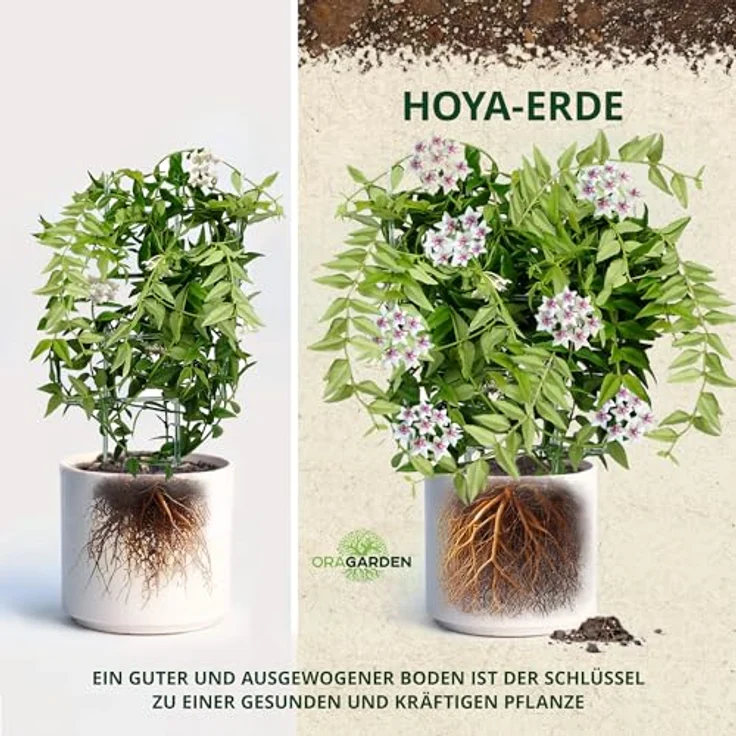 OraGarden Hoya Erde Spezialerde für Kübelpflanzen Zimmerpflanzen zur Umpflanzung (3L) – Bild 3