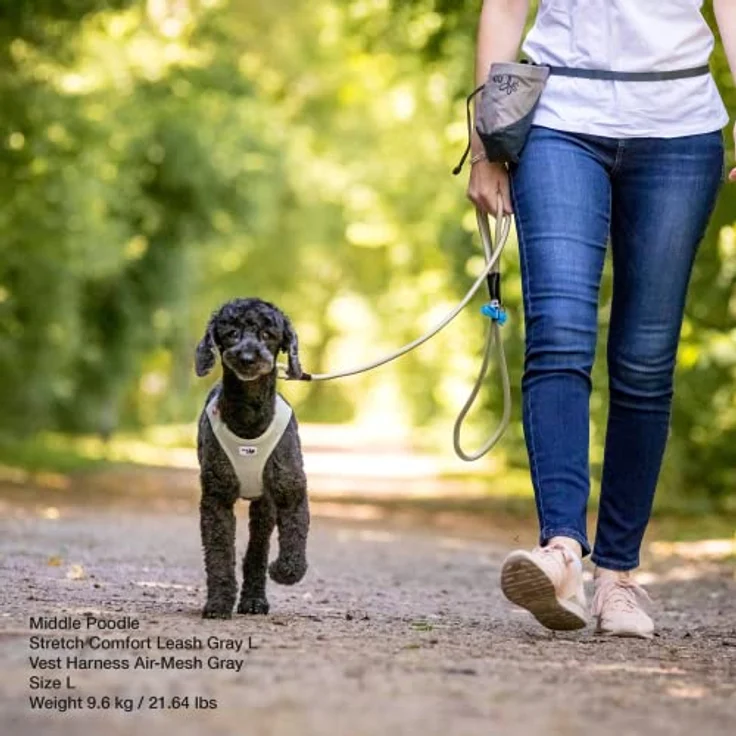 Stretch Comfort Leash Ruby M – Bild 3