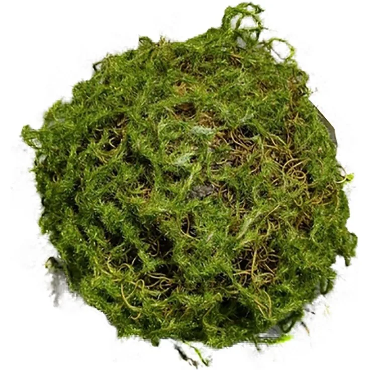 HTI-Living Kunstblume Mooskugel 18 cm Kunstpflanze Flora Moos, naturgetreuer Moos-Look, Höhe 18 cm