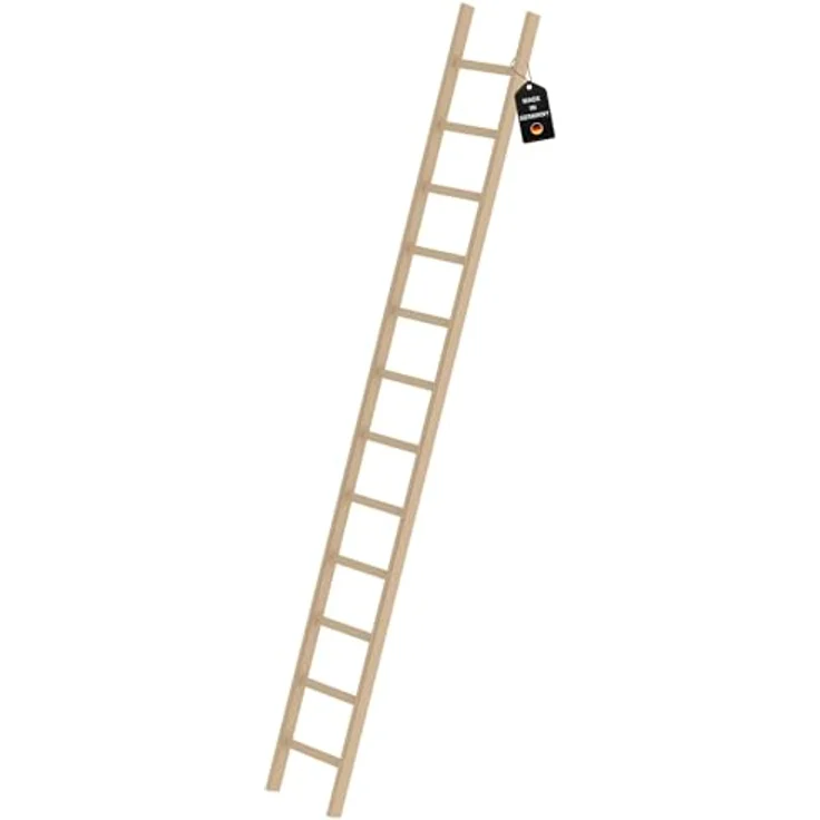 PROREGAL Sprossen-Anlegeleiter Holz ohne Traverse | 12 Sprossen | Trittsicher und hochwertig - von PROREGAL – Bild 1