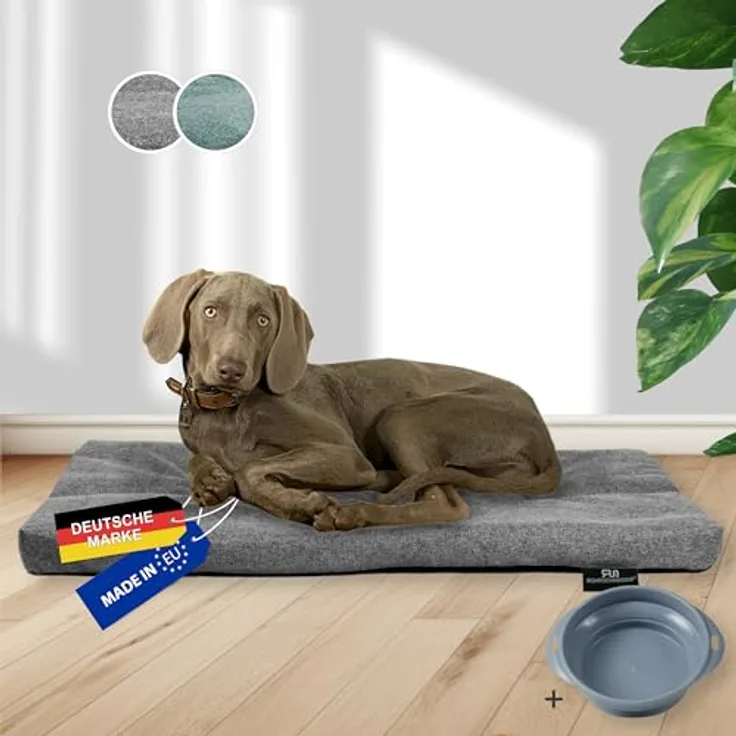 Rohrschneider Hundebett Made in EU | Hundematte mit Anti-Rutsch | strapazierfähiges Hundekissen für kleine, mittelgroße & große Hunde | Katzenbett | inkl. Futternapf | Gr. 3 (grau, 120 x 75 x 7 cm)