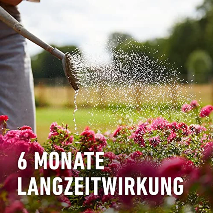 Compo Rosen Langzeit-Dünger neu, 2 kg – Bild 5
