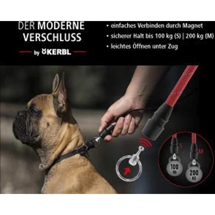GOLEYGO Hundeleine Flat + Halsband, Schwarz, Größe M 1,4-2m, Sicherer Magnetverschluss, Inkl. Adapter-Pin, Hundeleine für kleine & große Hunde bis 60kg, Maximale Belastung 200kg – Bild 3