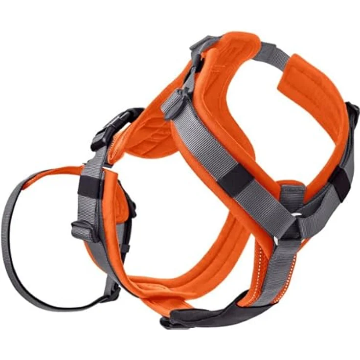 Sicherheitsgeschirr Maldon Farbe orange/grau, Größe XS – Bild 5