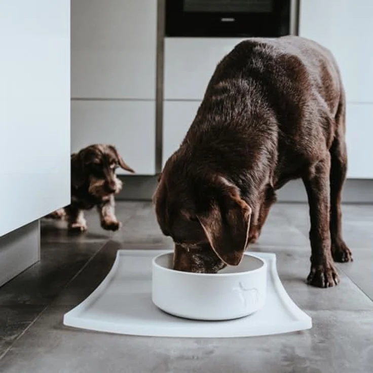 Hunter Tierbedarf Futternapf Keramik-Napf Osby weiß, pflegeleicht und spülmaschinengeeignet, Lebensmittelecht – Bild 4