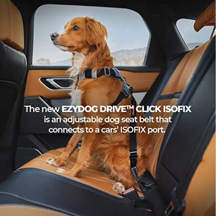 Click ISOFIX Hundegurt - Hunde Sicherheitsgurt (43-65cm) – Bild 5