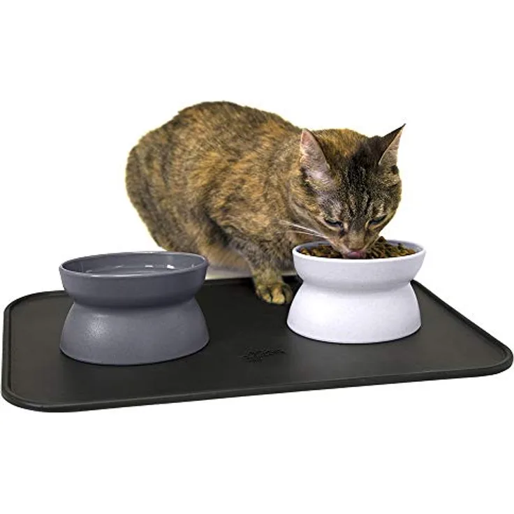 Kitty City erhöhter Futternapf für Katzen, stressfreier Futternapf und Wasserspender
