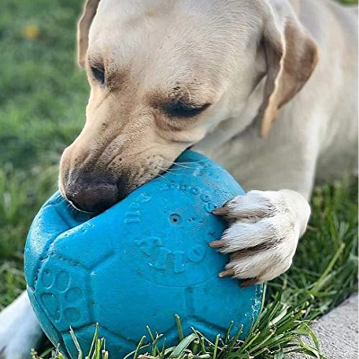 Jolly Pets,Hund - Fußball - Meerblau - 20 cm - 1 Stück, Multi, Large/X-Large, SB08 Ocean – Bild 4