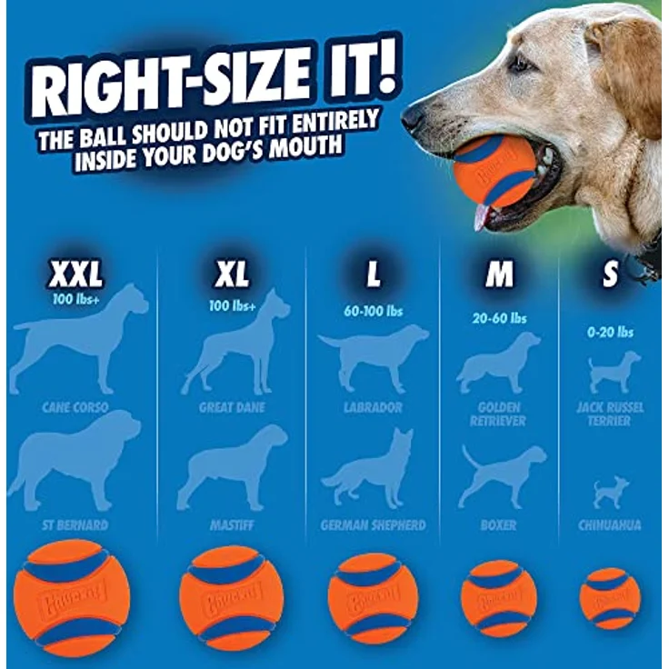 Chuckit – Ultra Ball XXLarge – 1 Jagdball für Hunde – Robuster und vielseitiger Ball – Ball der auf der Wasseroberfläche schwimmt – Kompatibel mit Chuckit Launchern – 10 cm Durchmesser – Bild 5