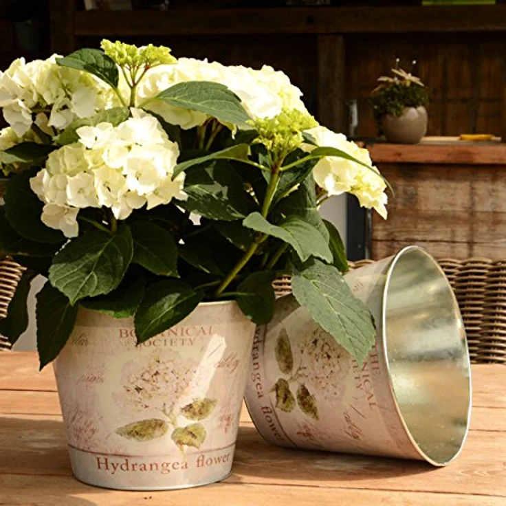 UNUS 2er Set Blumentopf Hortensie, Zink Übertopf 21cm, Weiß mit hochwertigem Motiv Druck – Bild 2