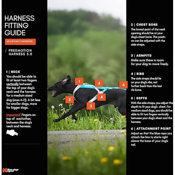 Non-stop dogwear Freemotion Harness 5.0, ergonomisches Hunde-Geschirr für alle Sportarten, Größe 8, orange/schwarz – Bild 3