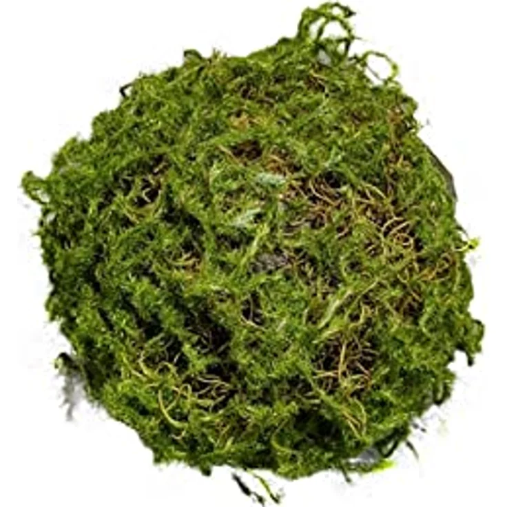 HTI-Living Kunstblume Mooskugel 18 cm Kunstpflanze Flora Moos, naturgetreuer Moos-Look, Höhe 18 cm – Bild 2