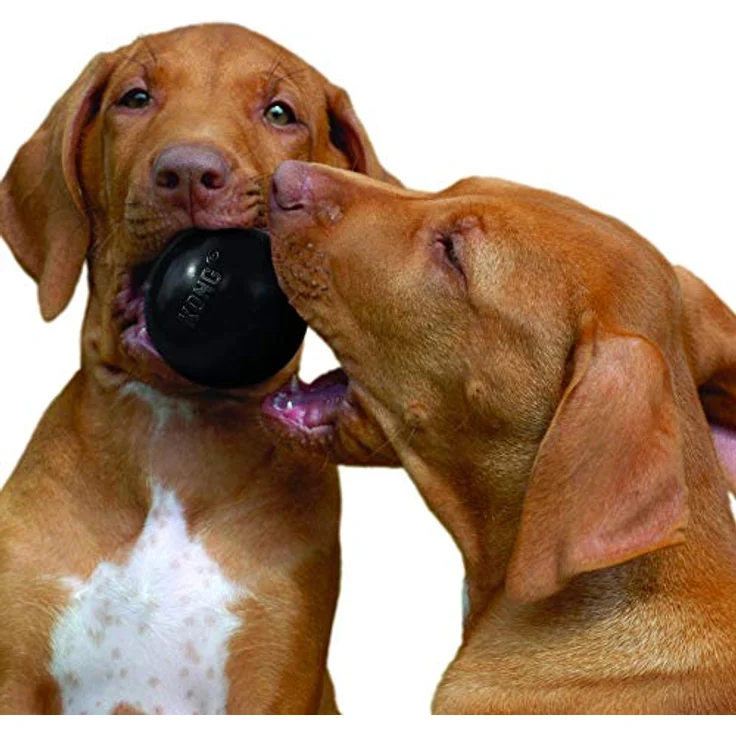 KONG – Extreme Ball – Hundespielzeug aus Robustem Kautschuk für Besonders Kräftiges Kauen, Schwarz – Für Kleine Hunde – Bild 2
