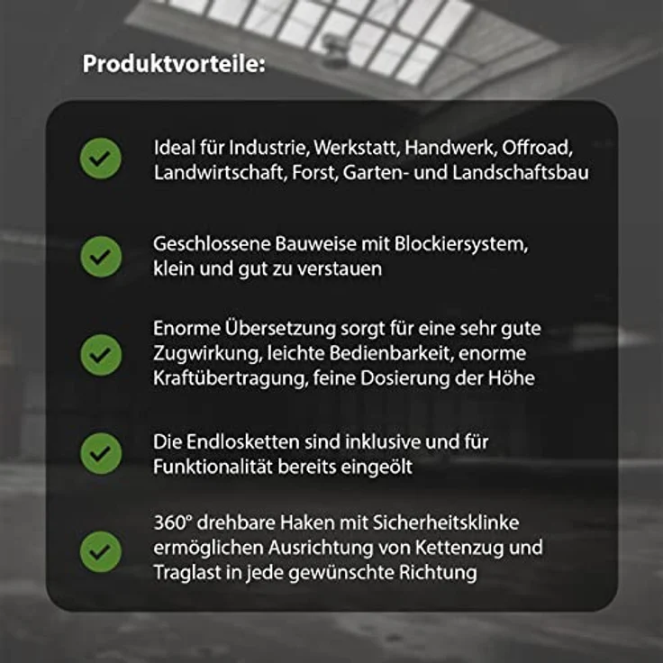 TrutzHolm Profi Kettenzug Kettenzug 3000kg 3t 3m Rund HSZ – Bild 7