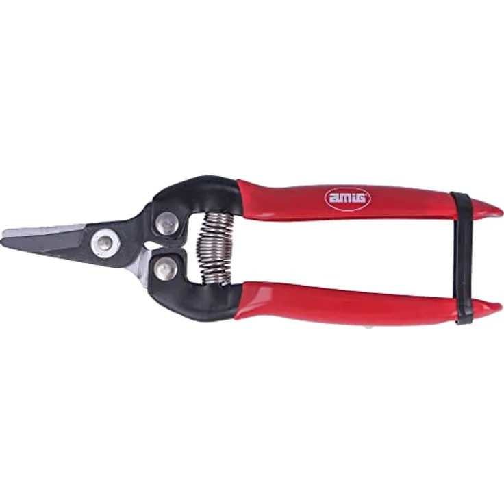 Amig - Einhand-Astschere | Spezielle Sammlung | gerade Klinge aus Stahl | 160 mm | rutschfester Griff | gebogene Spitze zum Schneiden von Blumen, Obst und Weinlese