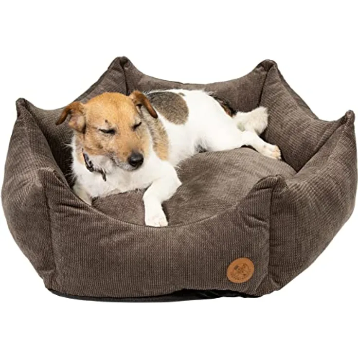 Pfotenfreunde - Hundebett für mittelgroße und kleine Hunde – waschbarer Schlafplatz für Hunde und Katzen – Hundekissen, Tierbett, Hundekorb, Welpenbett (M, Grau)