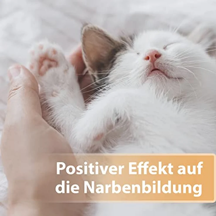 Felisept Wundgel für Katzen, 20ml - Optimale Wundversorgung, schmerzfreie Anwendung, positiver Effekt auf die Narbenbildung – Bild 3