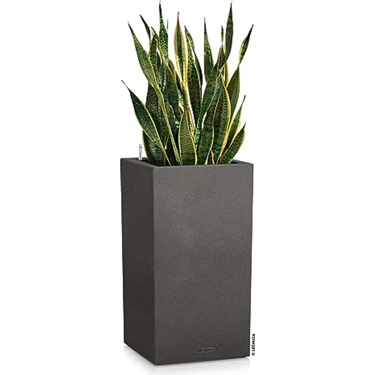 Lechuza CANTO Stone High 40 Pflanzsäule, Schwarz, mit Selbstbewässerungssystem – Bild 2