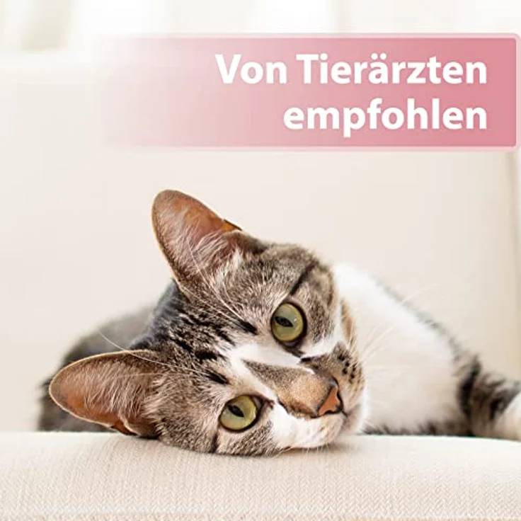 Felisept Augenpflege-Pads für Katzen, 100 Stück, mit Aloe Vera-Extrakt zur Entfernung von Tränenflecken – Bild 5