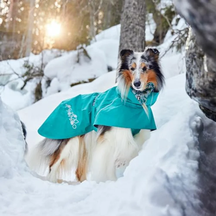 Hurtta Monsoon Coat II Hundemantel ECO (Peacock 60), Wasserdichter Regenmantel mit verstellbarem Gurtband – Bild 4