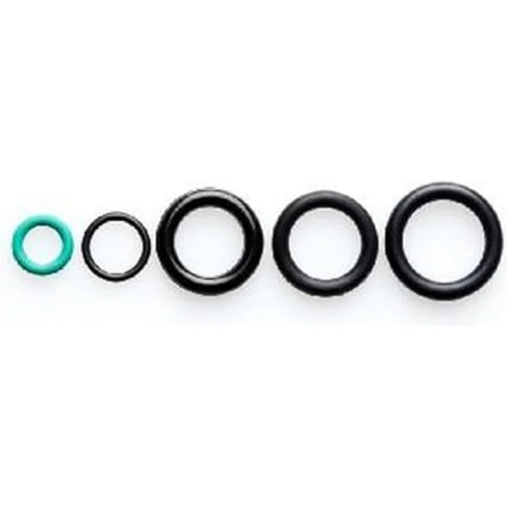 Nilfisk 128500292O-Ring Set – Bild 2