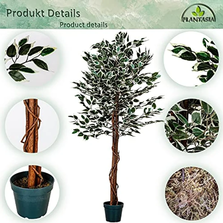 PLANTASIA Kunstpflanze Ficus Benjamini 160 cm, authentisch wirkender künstlicher Baum mit Echtholzstamm und 714 detailreichen Blättern – Bild 5