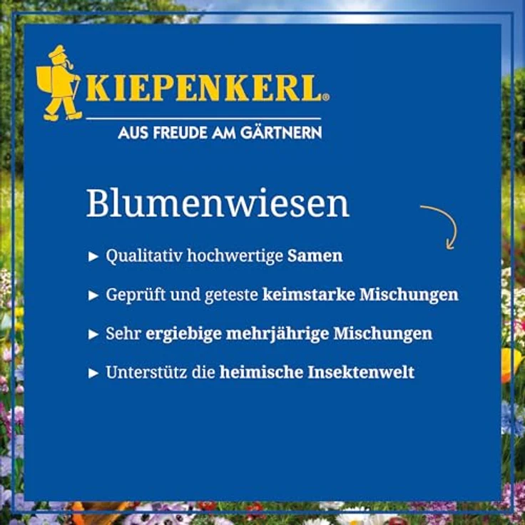 Kiepenkerl Blumen-Wiese 1 kg - Preisvergleich – Bild 4