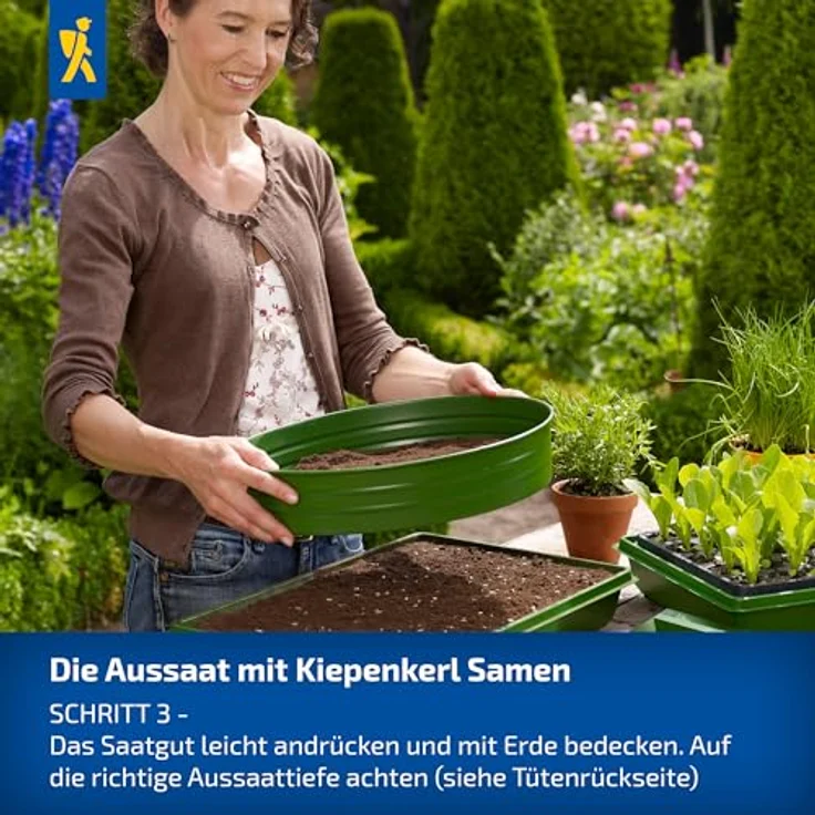 Kiepenkerl Profi-Line Obstsamen Erdbeere Tresca, kompaktwachsende Erdmbeere mit großen aromatischen Früchten, Erntezeit Juli – Bild 5