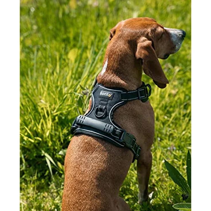 lionto Hundegeschirr gepolstert Anti Zug Geschirr reflektierend Sicherheitsgeschirr verstellbar, Größe S, schwarz – Bild 3