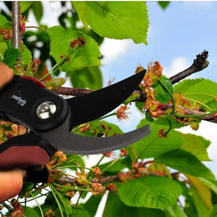 siwitec Bypass-Gartenschere SG-11 für frische Äste und Zweige | max. Schnittstärke 20 mm | Baumschere mit hochwertigen Stahl-Klingen | Rosenschere | Pflanzenschere – Bild 2