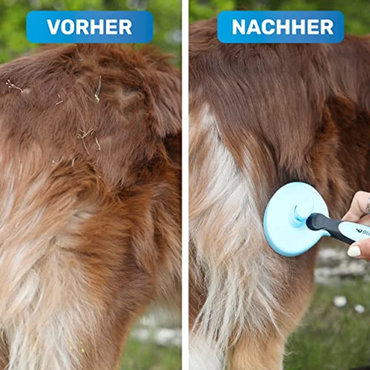 BluePet ZupfZeug Fellpflegebürste für Katzen und Hunde - Katzenbürste Langhaar Selbstreinigend - Zupfbürste - Fellpflege Britisch Kurzhaar - Hundebürste – Bild 4