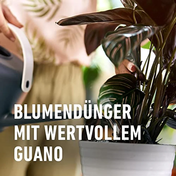 Compo Blumendünger mit Guano flüssig 2,5 Liter – Bild 2