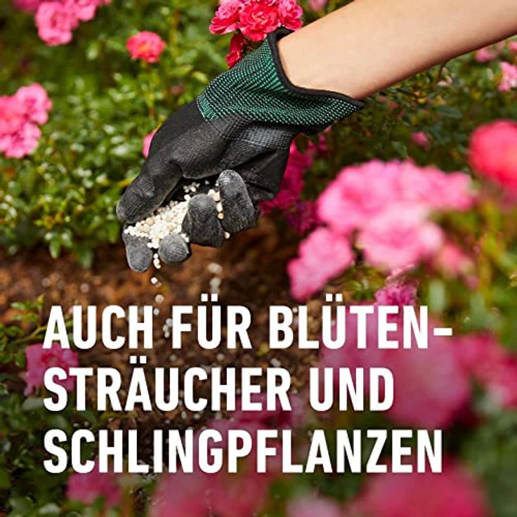 Compo Rosen Langzeit-Dünger neu, 2 kg – Bild 4