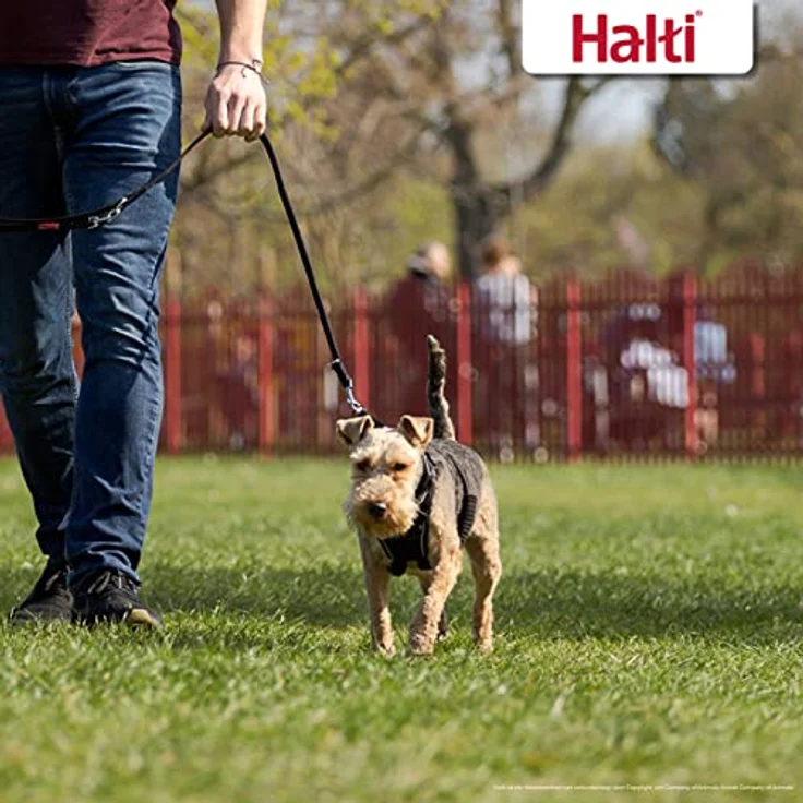 HALTI No Pull Anti-Zug Geschirr, Größe Klein - Verhindert, dass Ihr Hund an der Leine zieht, Gepolsterter Brust- und Beingurt, Reflektierendes Gurtmaterial, Einfache Anpassung und Benutzung – Bild 4