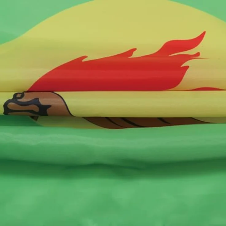 AZ FLAG Zairische Fahne, 90x60 cm, 100% Polyester mit Messing-Ösen, doppelt genäht, verstärkte Ecken, für Innen & Außen – Bild 3