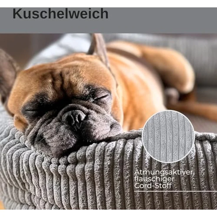 PAW WOW Anton Hundebett | Orthopädisches Hundebett für kleine, mittelgroße und große Hunde | Grau, 100x70cm – Bild 5