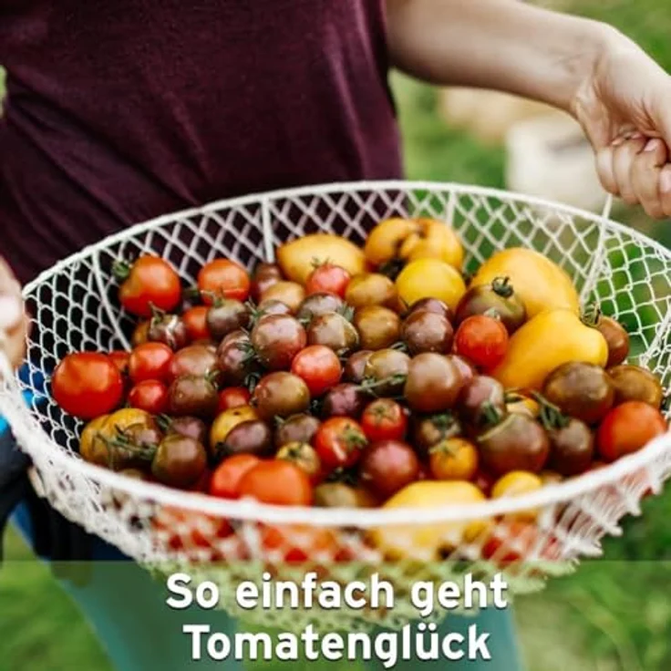 SUBSTRAL Düngerstäbchen für Tomaten 10 St. – Bild 7