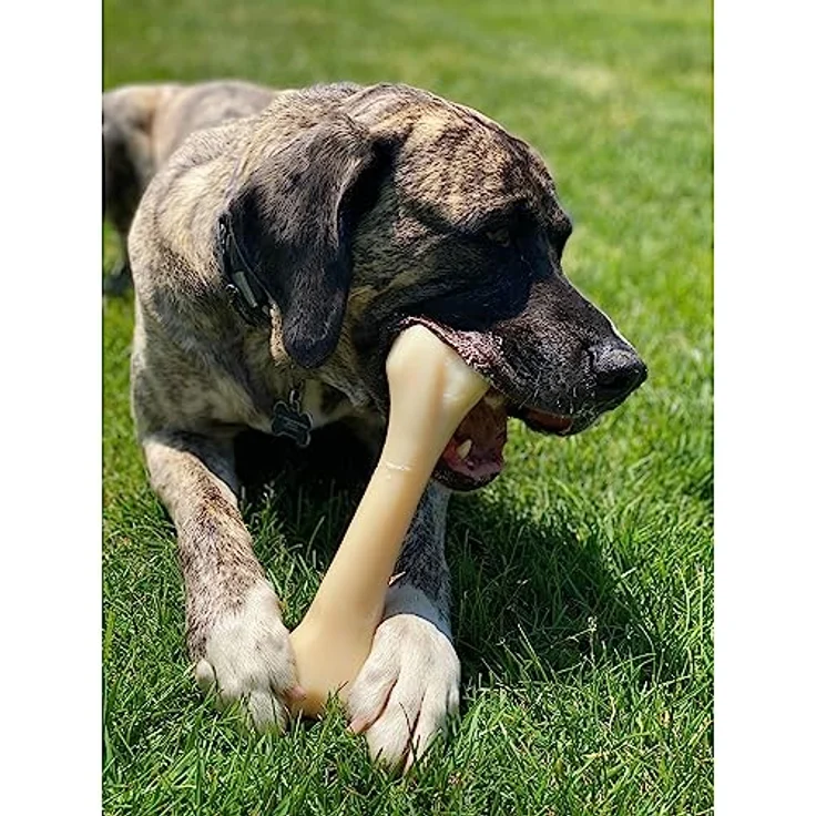 Nylabone Extreme Chew Bone Kipsmaak, Hundespielzeug – Bild 3