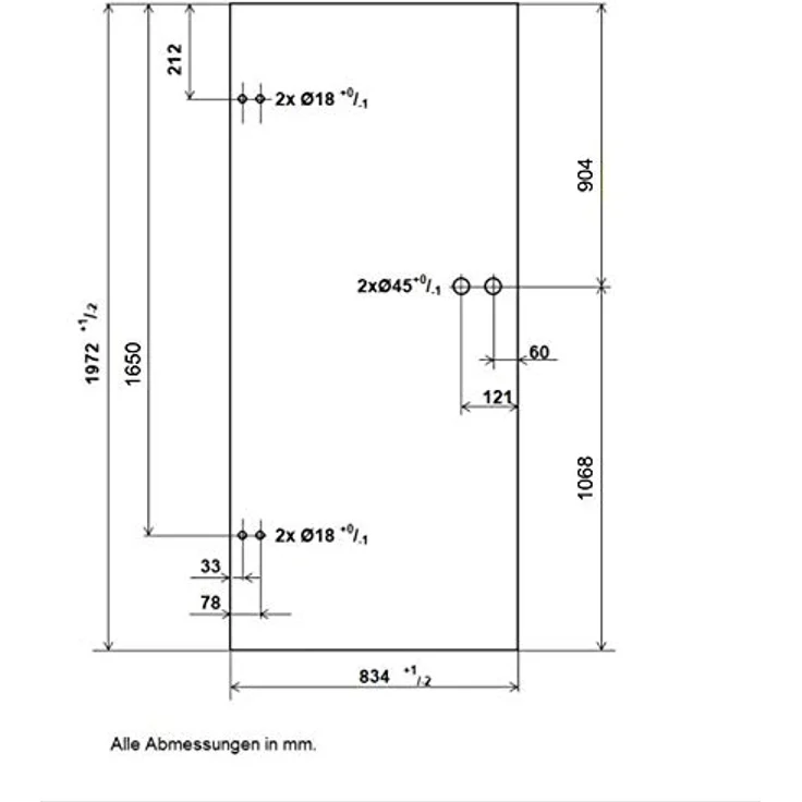 Glastür Drehtür mit Beschlag 834x1972 DIN links ESG Dekor Wohnungstür - Tür + Beschlag DB06 – Bild 7