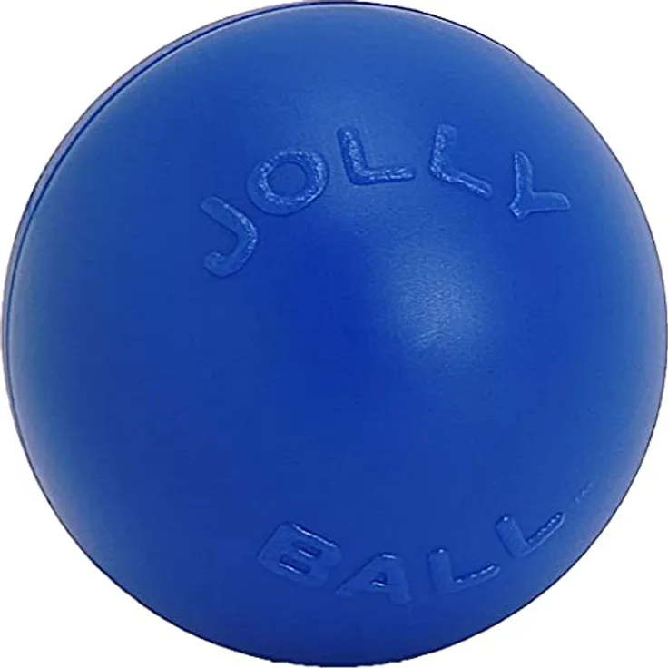 Jolly Pets (2 Pack) Push-N-Play Ball Blue 6 inch Hard Plastic Chew Toy for Dogs