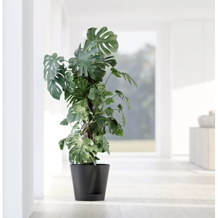Ecopots Übertopf Venedig 2, Selbstbewässernder Blumenkübel aus nachhaltigen Materialien, UV-beständig, für Innen- & Außenbereich – Bild 4