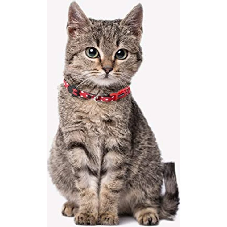 CERDÁ LIFE'S LITTLE MOMENTS Minnie Mouse Hundehalsband für Kleine Hunde, Offizielle Disney Lizenz, Halsumfang 18-30 cm, Dicke 15 mm, XXS-XS – Bild 2